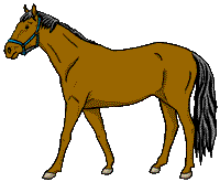 brown horse